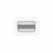 Apple Thunderbolt to Firewire Adapter