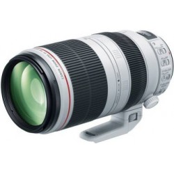 Canon EF 100-400mm F 4.5-5.6 IS II USM lens