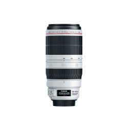 Canon EF 100-400mm F 4.5-5.6 IS II USM lens