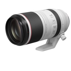 Canon RF 100-500mm F 4.5-7.1 IS USM lens