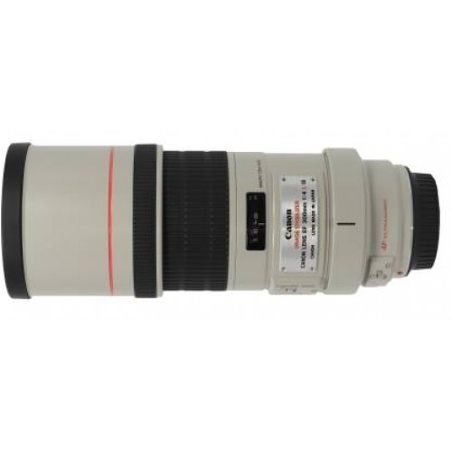 Canon EF 300mm f/4L IS USM Lens