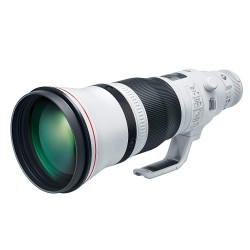 Canon EF 600mm f/4 IS III USM Lens