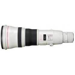 Canon EF 300mm f/4L IS USM Lens