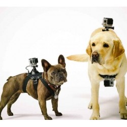 GoPro Fetch (Dog Harness Mount)