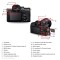 Sony Alpha A7M4 Mirrorless Camera Body ILCE-7M4 Free Sony BC-QZ1 Charger