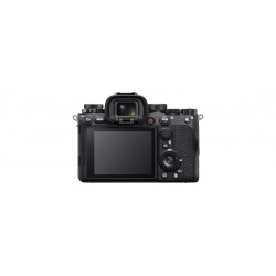 Sony Alpha 7R IV Mirrorless Camera (Body Only)